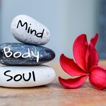 Holistic,Health,Concept,Of,Zen,Stones,With,Deep,Red,Plumeria